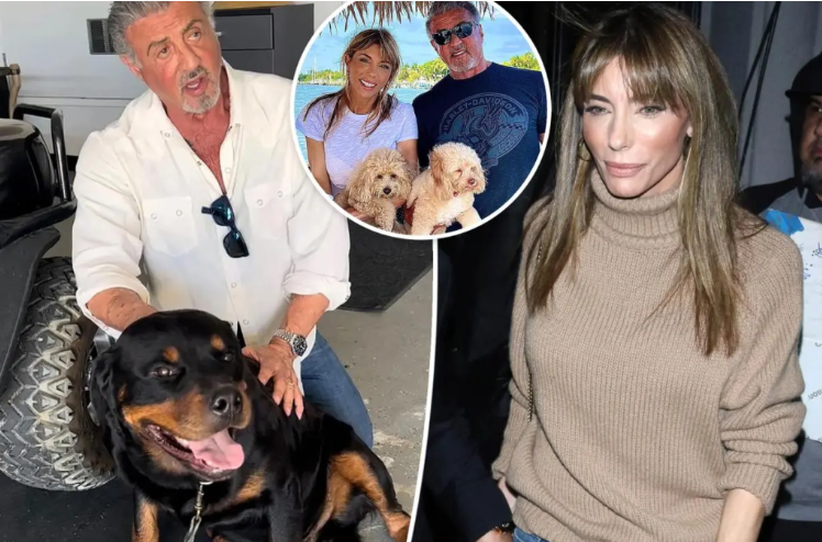 Sylvester Stallone’s New Dog Caused His Divorce